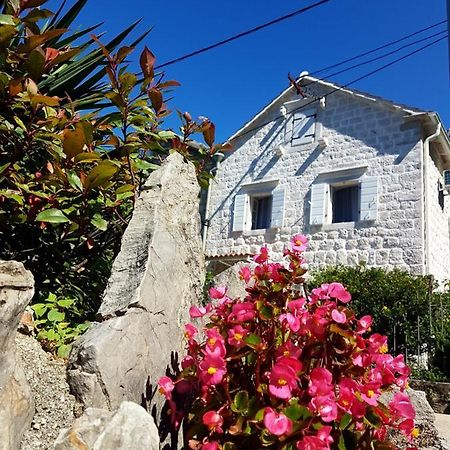 Old Stone Villa Lalosevic Kotor Exterior foto